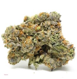 Buy gelato weed strain Illinois, Legit weed delivery dispensary Chicago, where to find weed in Aurora, Naperville real weed shop, Get medical marijuana here.