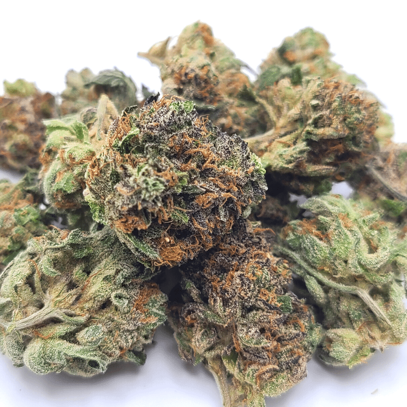 Grape Pie cannabis strain for sale in Cologne Germany